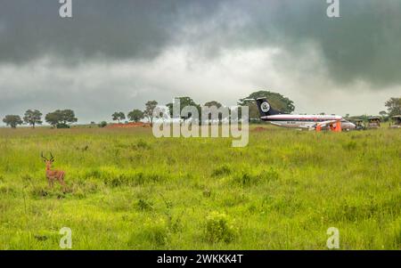 Un Impala mâle regarde des véhicules de safari 4x4 rds garés près d'un petit avion sur la piste d'atterrissage de Kikoboga dans le parc national de Mikumi en Tanzanie. Banque D'Images