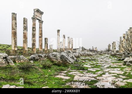 Syrie, Apamée, colonne honorifique et Colonnade aux ruines romaines d'Apamée Banque D'Images