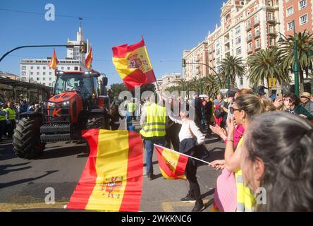 Malaga, Espagne. 21 février 2024. On voit des partisans agiter des drapeaux espagnols alors qu'ils participent à une manifestation d'agriculteurs contre la politique agricole européenne et pour de meilleures conditions de travail. Des centaines de tracteurs ont bloqué les rues principales de la ville pour protester contre les coûts de production élevés et la concurrence déloyale des pays non européens. Crédit : SOPA images Limited/Alamy Live News Banque D'Images