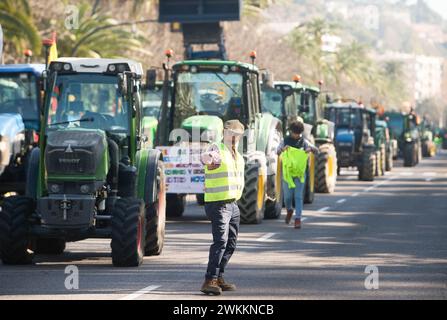 Malaga, Espagne. 21 février 2024. Un agriculteur crie devant les tracteurs alors qu'il participe à une manifestation d'agriculteurs contre la politique agricole européenne et pour de meilleures conditions de travail. Des centaines de tracteurs ont bloqué les rues principales de la ville pour protester contre les coûts de production élevés et la concurrence déloyale des pays non européens. Crédit : SOPA images Limited/Alamy Live News Banque D'Images