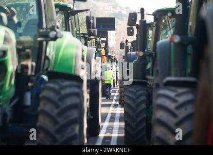 Malaga, Espagne. 21 février 2024. On voit un agriculteur se promener entre des tracteurs alors qu'il participe à une manifestation d'agriculteurs contre la politique agricole européenne et pour de meilleures conditions de travail. Des centaines de tracteurs ont bloqué les rues principales de la ville pour protester contre les coûts de production élevés et la concurrence déloyale des pays non européens. Crédit : SOPA images Limited/Alamy Live News Banque D'Images