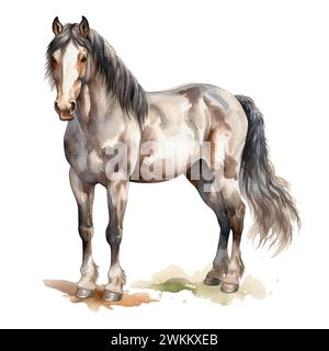 Cheval gris dapple aquarelle sépia. Belle illustration de dessin à la main sur blanc Banque D'Images