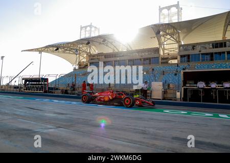 Sakhir, Bahreïn. 21 février 2024. Essais de pré-saison F1 à Bahreïn sur le circuit international de Bahreïn le 21 février 2024 à Sakhir, Bahreïn. (Photo de HOCH Zwei) crédit : dpa/Alamy Live News Banque D'Images