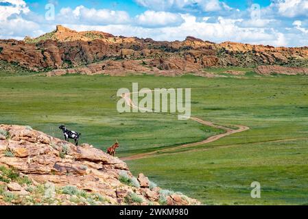 Chèvres grimpant le terrain rocheux de Baga Gazriin Chuluu en plein jour sous un vaste ciel bleu., Mongolie. Banque D'Images