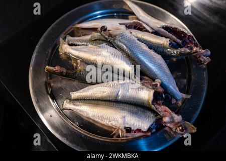 Des sardines écharpées et étincelantes reposent sur un plateau en acier inoxydable, Banque D'Images