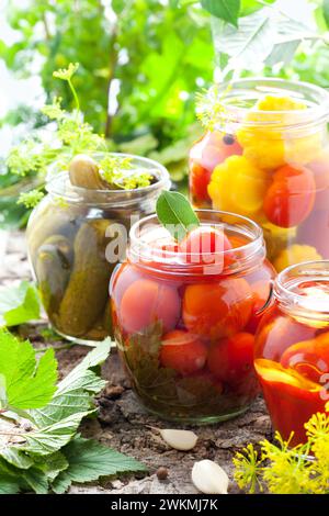 tomates conservées, concombres, poivrons et patisson dans des pots Banque D'Images