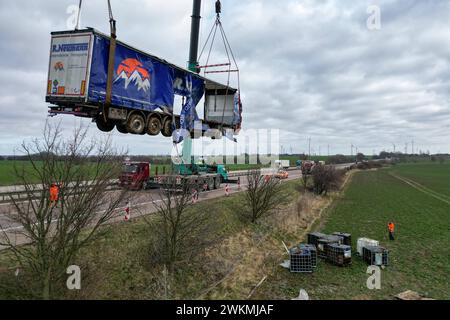 A14/Grimma - Zwei Spezialkräne bergen Gefahrgut-Lastwagen BEI Mutzschen 21.02.2024 gegen 13 Uhr A14 Richtung Dresden, zwischen Mutzschen und Leisnig Die Bergung des Gefahrgut-Lastwagens neben der A14 BEI Mutzschen Hat sich länger hingezogen, als zunächst gedacht. Durch die schwierige Lage des LKW musste das Bergungsunternehmen den Lastwagen zunächst jegliche Ladung, darunter mehrere leere Chemikalienbehälter bergen und den LKW anschließend aufrichten. Anschließend gelang es den Spezialisten das Sattelzuggespann vorsichtig im Gesamten anzuheben und auf die Straße zu heben. Anschließend wurde de Banque D'Images