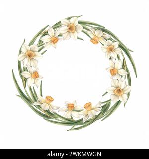 Aquarelle cadre rond de Pâques de belles jonquilles avec des feuilles vertes. L'illustration est dessinée à la main sur un fond isolé. Dessin pour le message d'accueil Banque D'Images