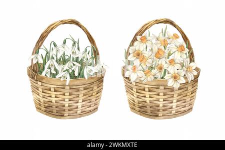 Ensemble aquarelle avec paniers en osier, fleurs, gouttes de neige et jonquilles. Illustration à la main dessinée sur fond isolé pour cartes de voeux, invitations, Banque D'Images