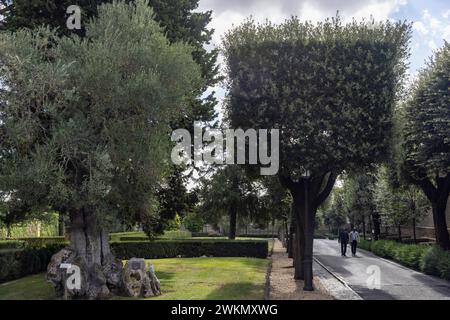 La vue sur la basilique Saint-Pierre met en valeur une promenade dans les jardins papaux du Vatican. Banque D'Images