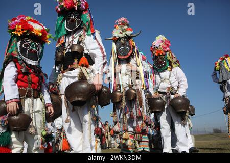 Festival de la mascarade à Elin Pelin, Bulgarie Banque D'Images