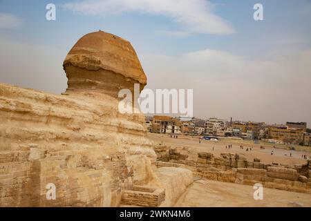 24 mars 2023 - le Caire, Egypte - le Grand Sphinx de Gizeh, une statue colossale en calcaire avec le corps d'un lion et la tête d'un pharaon, est l'un des symboles les plus emblématiques et énigmatiques de l'Egypte ancienne. Construit sous le règne du pharaon Khafre, le Sphinx garde le complexe pyramidal de Gizeh, ajoutant une aura de mystère et de majesté au site. Les visiteurs sont attirés par cette merveille ancienne non seulement pour sa taille impressionnante et son artisanat complexe, mais aussi pour les nombreuses légendes et théories entourant son origine et son but. (Crédit image : © Katrina Kochneva/ZUMA Press Wire) EDITORI Banque D'Images
