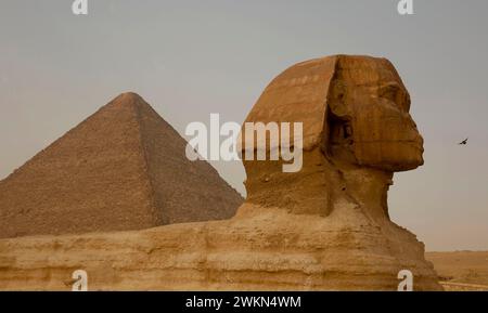 24 mars 2023 - le Caire, Egypte - le Grand Sphinx de Gizeh, une statue colossale en calcaire avec le corps d'un lion et la tête d'un pharaon, est l'un des symboles les plus emblématiques et énigmatiques de l'Egypte ancienne. Construit sous le règne du pharaon Khafre, le Sphinx garde le complexe pyramidal de Gizeh, ajoutant une aura de mystère et de majesté au site. Les visiteurs sont attirés par cette merveille ancienne non seulement pour sa taille impressionnante et son artisanat complexe, mais aussi pour les nombreuses légendes et théories entourant son origine et son but. (Crédit image : © Katrina Kochneva/ZUMA Press Wire) EDITORI Banque D'Images