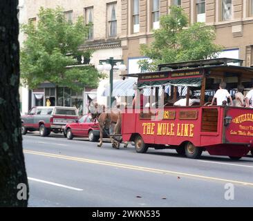 Hot Springs, Arkansas, États-Unis, 1993. Touristes appréciant un tour dans l'historique Mule Line dans le centre-ville de Hot Springs. Banque D'Images