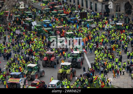 Madrid, Espagne. 21 février 2024. Des tracteurs conduits par des agriculteurs sont vus dans une rue alors qu'ils participent à une manifestation d'agriculteurs des centaines de tracteurs de toute l'Espagne se sont rendus à Madrid pour organiser une manifestation d'agriculteurs et d'éleveurs devant le ministère de l'Agriculture, pêche et alimentation situé dans le centre de Madrid. Crédit : SOPA images Limited/Alamy Live News Banque D'Images