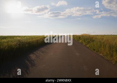 Route de campagne asphaltée noire pavée à travers un champ agricole se dirigeant au loin, Saint-Jean, Île d'Orléans, Québec, Canada. Banque D'Images