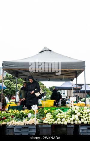 Produits frais au Harbourside Markets, Wellington, Nouvelle-Zélande Banque D'Images