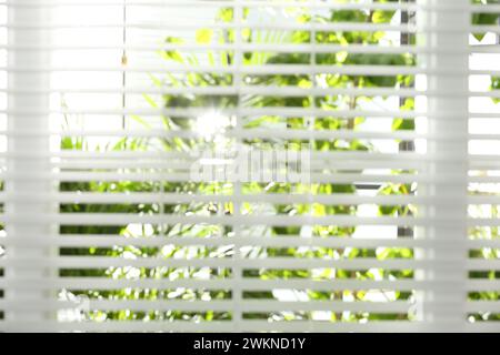 Vue floue par la fenêtre sur le jardin le matin Banque D'Images
