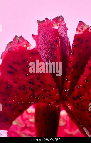 Ensemble de fruits de dragon rouge avec service appétissant isolé sur fond rose. Vue de dessus, main Banque D'Images