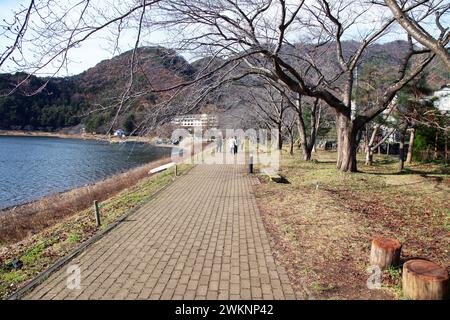 Le côté nord du lac Kawaguchi dans la préfecture de Yamanashi, Japon. Banque D'Images