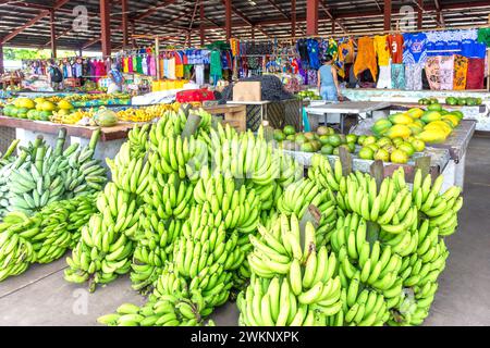 Bananes au marché de produits frais Fugalei, Fugalei Street, Apia, île d'Upolu, Samoa Banque D'Images