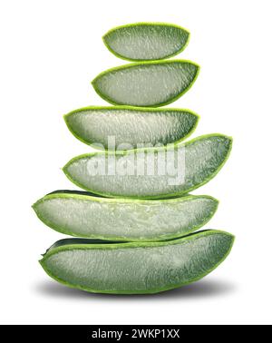 Coupe Aloe Vera gel Stack de feuilles comme plante médicinale succulente avec des propriétés curatives anti-inflammatoires et comme remède à base de plantes détoxifiant également Banque D'Images