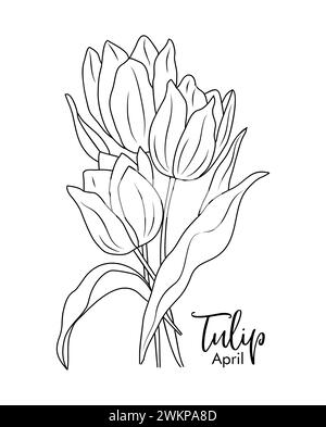 Tulipe mois de naissance avril dessin de contour de fleur. Illustration de Vecteur