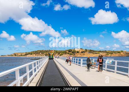 Victor Harbor, Australie méridionale - 5 janvier 2022 : les gens marchent le long de la nouvelle voie causale de Granite Island, tandis que le tramway tiré par les chevaux passe sur un Banque D'Images