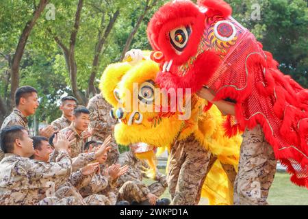 Beihai, Chine. 22 février 2024. Des policiers armés et des soldats regardent un spectacle de danse du lion à Beihai, en Chine, le 21 février 2024. (Photo de Costfoto/NurPhoto) crédit : NurPhoto SRL/Alamy Live News Banque D'Images