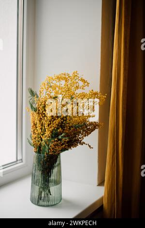 Acacia dealbata, wattle argenté ou fleur de mimosa jaune dans un vase en verre sur intérieur blanc de la maison Banque D'Images