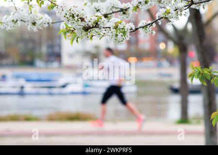 Arbre fleuri contre la femme défocalisée jogging dans le parc de la ville Banque D'Images
