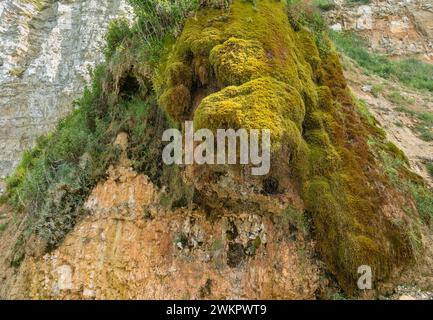 Petite fontaine côtière vue près de Fécamp, une commune du département de Seine-maritime dans la région Normandie dans le nord-ouest de la France Banque D'Images