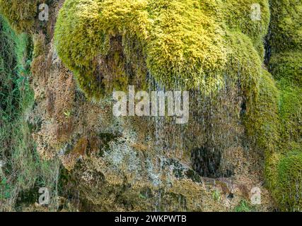 Petite fontaine côtière vue près de Fécamp, une commune du département de Seine-maritime dans la région Normandie dans le nord-ouest de la France Banque D'Images