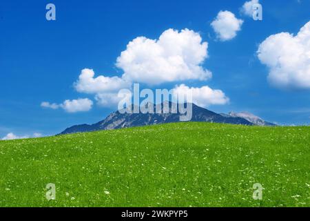 Prairie et Mont Soiernspitze près de Klais, Garmisch Partenkirchen, Bavière, Allemagne Banque D'Images