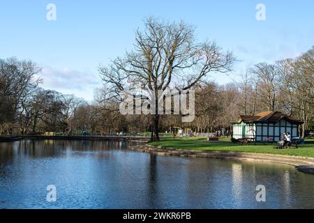 Newcastle upon Tyne, Royaume-Uni. 16 février 2024. Parc de paddy Freeman, avec lac de navigation et arbre, en hiver ensoleillé. Banque D'Images