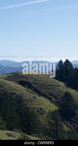 Une vue panoramique sur les collines verdoyantes sous un ciel bleu clair Banque D'Images