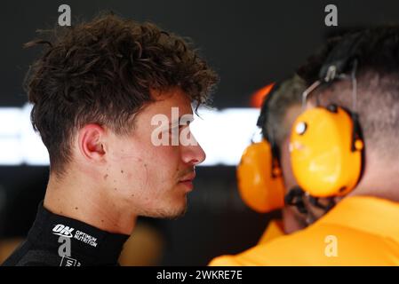 Sakhir, Bahreïn. 22 février 2024. Lando Norris (GBR) McLaren. 22.02.2024. Essais de formule 1, Sakhir, Bahreïn, deuxième jour. Le crédit photo devrait se lire : XPB/Alamy Live News. Banque D'Images