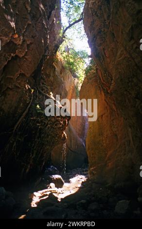 Avakas gorge Chypre Banque D'Images