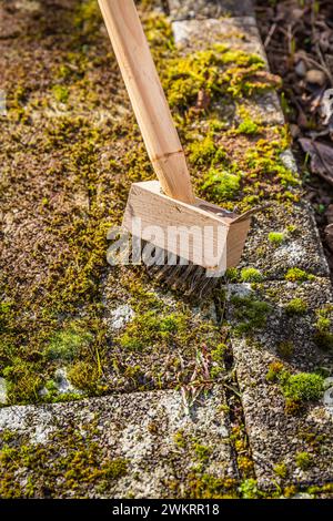 Enlever et gratter la mousse des pavés, nettoyer la terrasse et le patio Banque D'Images