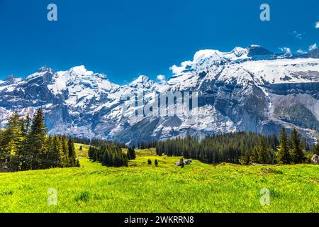 Vue sur les montagnes, les prairies et la forêt entourant le lac Oeschinen, les Alpes suisses, la Suisse Banque D'Images