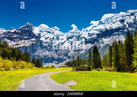 Vue sur les montagnes, les prairies et la forêt entourant le lac Oeschinen, les Alpes suisses, la Suisse Banque D'Images