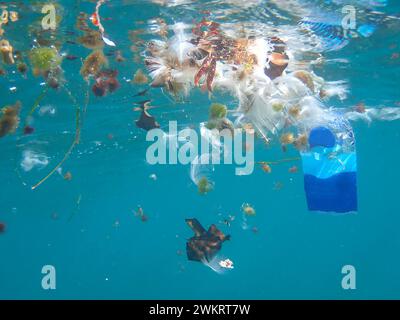 Vue sous-marine sur la pollution de l'océan avec le plastique (îles Canaries, Espagne) Banque D'Images