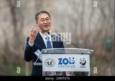 Madrid, Espagne. 22 février 2024. L’ambassadeur de la République de Chine, Yao Jing, s’adresse à la presse au zoo de Madrid. Les panda géants (Hua Zui Ba et Bing Sing) résidant dans les installations du zoo de Madrid depuis 2007 et leurs 3 bébés, retourneront à leur lieu d’origine, la ville chinoise de Chengdu, à la fin du mois. La ville de Madrid recevra une nouvelle paire d'ours panda au printemps prochain, poursuivant ainsi le programme de collaboration entre le zoo de la capitale et l'Association chinoise pour la conservation et l'élevage de cette espèce. Crédit : Marcos del Mazo/Alamy Live News Banque D'Images