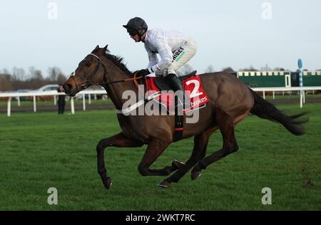 Photo du dossier datée du 26-12-2023 de Constitution Hill montée par Nico de Boinville. Constitution Hill a encore un travail sérieux à accomplir alors que Nicky Henderson construit la superstar de National Hunt Racing pour la défense de sa couronne de haies Champion Unibet. Date d'émission : jeudi 22 février 2024. Banque D'Images