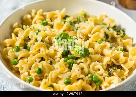 Repas italien de pâtes Gigli maison avec fromage basilic et petits pois Banque D'Images