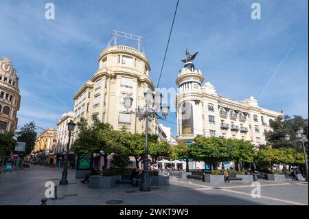 Arbres avec des oranges amères déchirées autour de la Plaza de las Tendillas .dans la ville historique de Cordoue en Andalousie, sud de l'Espagne. Banque D'Images