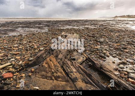 La bête de la tempête de l'est a balayé cette plage et enlevé du sable exposant une forêt pétrifiée et une épave de navire qui est un vestige de la dernière ère glaciaire de 7 000 ans Banque D'Images