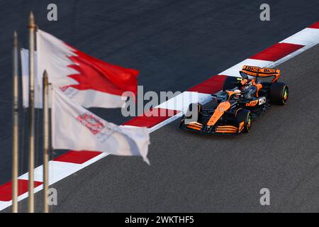 Sakhir, Bahreïn. 22 février 2024. Lando Norris (GBR) McLaren MCL38. 22.02.2024. Essais de formule 1, Sakhir, Bahreïn, deuxième jour. Le crédit photo devrait se lire : XPB/Alamy Live News. Banque D'Images