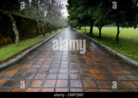 Avenue à l'intérieur de la Citadelle impériale de Hué Banque D'Images