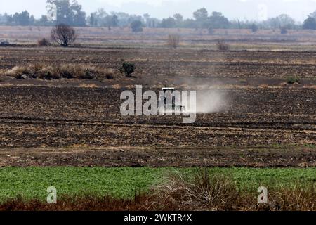 Zumpango de Ocampo, Mexique. 21 février 2024. 21 février 2024, Zumpango de Ocampo, Mexique : un agriculteur laboure la terre sur un tracteur dans la zone touchée de la lagune de Zumpango affectée par la sécheresse en raison du manque de pluie. Le 21 février 2024 à Zumpango de Ocampo, Mexique (photo Luis Barron/Eyepix Group/Sipa USA). Crédit : Sipa USA/Alamy Live News Banque D'Images